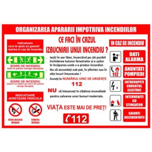 ORGANIZAREA